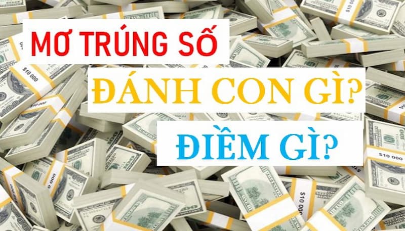 Nằm mơ thấy trúng số đánh gì dễ thắng? 